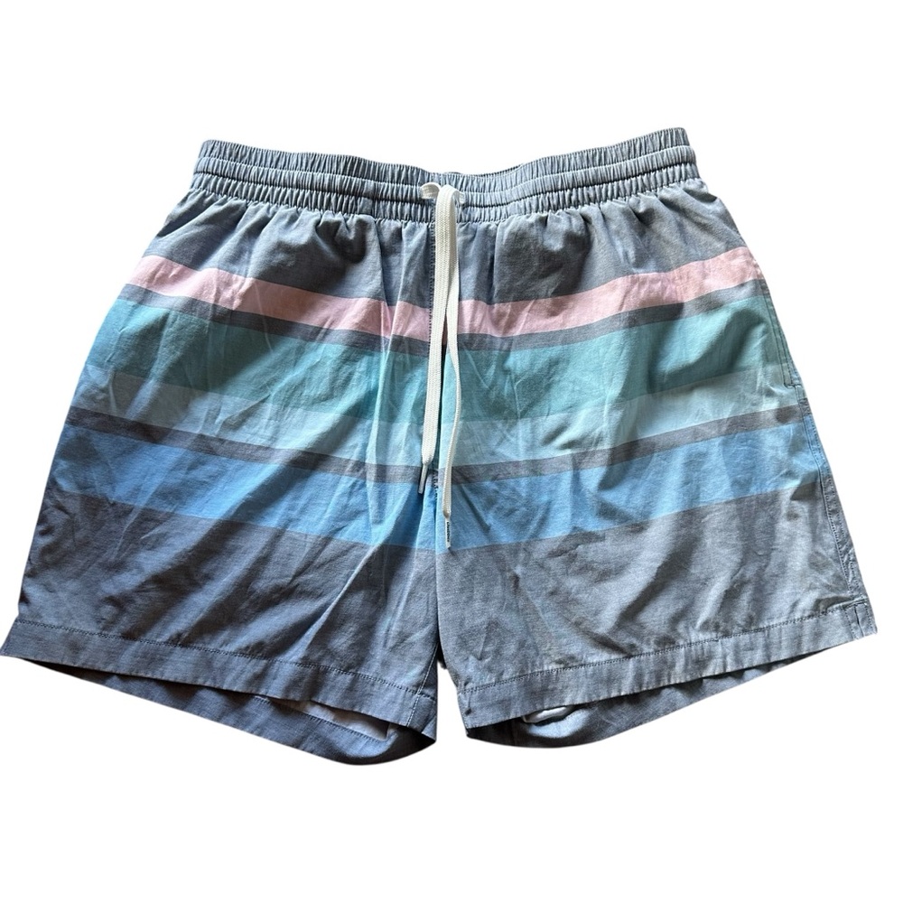 Chubbies 5.5” Swim Trunks Size S